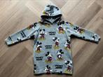Zara Mickey Mouse sweater hoodie trui grijs maat 134, Gebruikt, Meisje, Trui of Vest, Ophalen of Verzenden