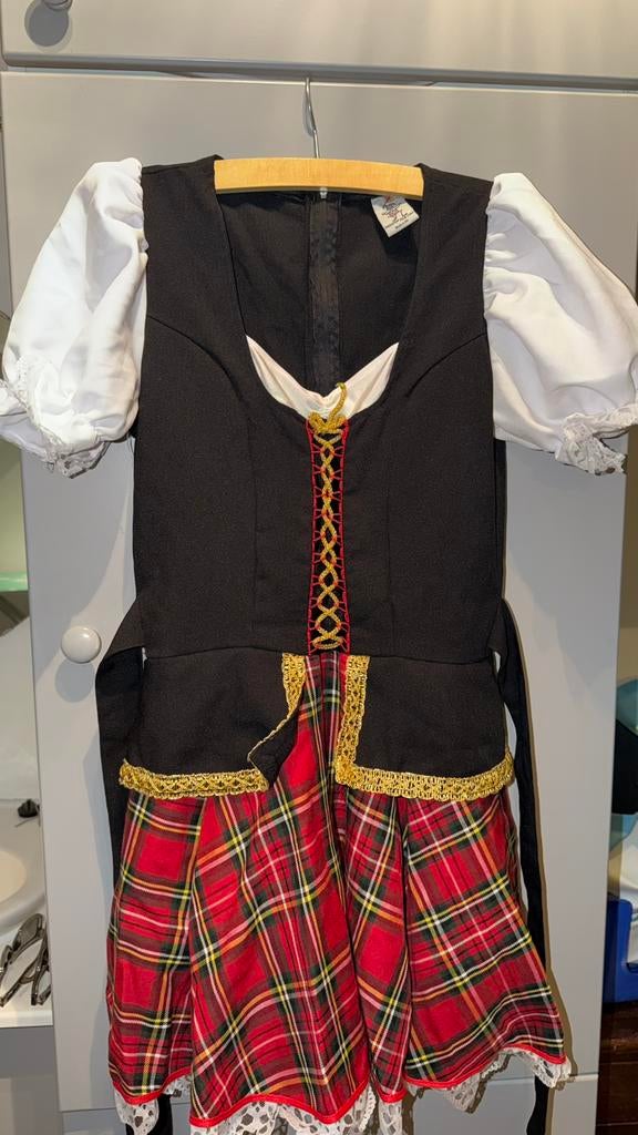 Carnaval tirolerjurk / oktoberjurk maat 36, Carnaval, Ophalen of Verzenden, Zo goed als nieuw, Kleding