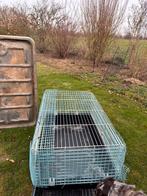 2 knaagdier kooien, Kooi, 110 cm of meer, Zo goed als nieuw, Cavia