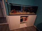 Aquarium, Ophalen, Zo goed als nieuw, Leeg aquarium
