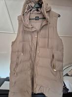 Mooie bodywarmer - perfect voor het tussenseizoen!, Kleding | Dames, Bodywarmers, Zara, Ophalen of Verzenden, Zo goed als nieuw