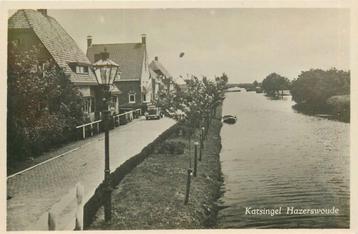 (701-334-039) Hazerswoude Katsingel beschikbaar voor biedingen