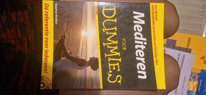 Mediteren voor Dummies - Stephan Bodian, Boeken, Esoterie en Spiritualiteit, Zo goed als nieuw, Instructieboek, Meditatie of Yoga