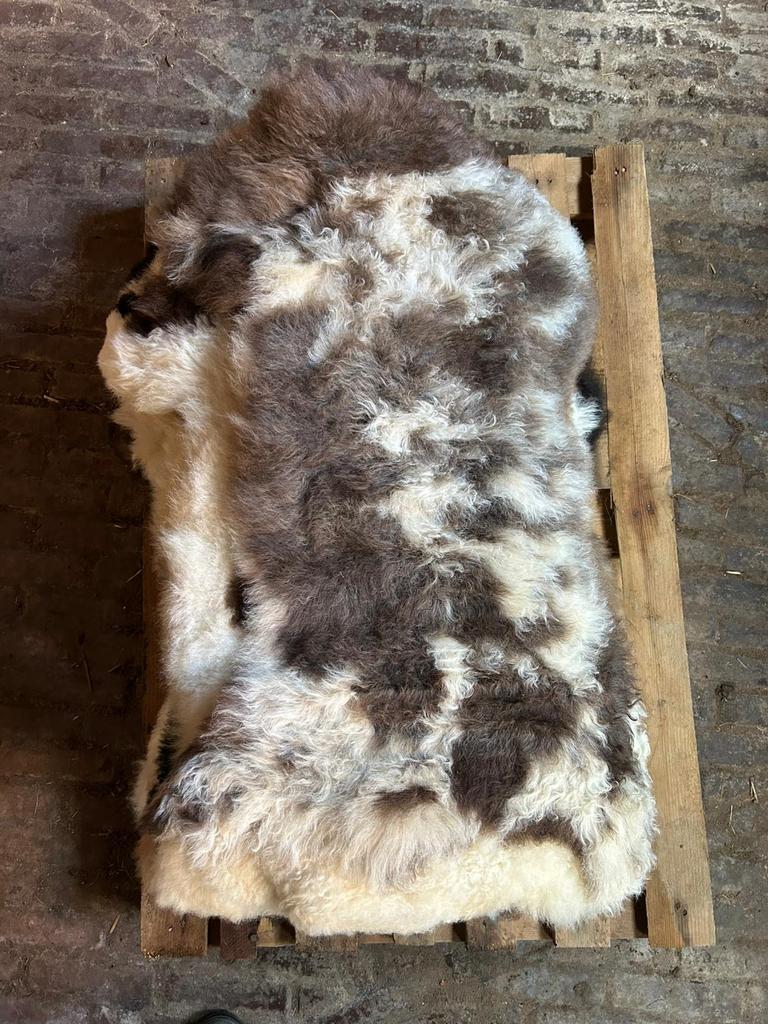 Ecologische schapenvachten - diverse kleuren, zachte wol, 50 tot 100 cm, Overige kleuren, Nieuw, Ophalen of Verzenden