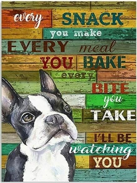 nr 2044 Diamond Painting boston terrier 50x40cm (rond), Nieuw, Meerkleurig, Ophalen of Verzenden, Overige materialen