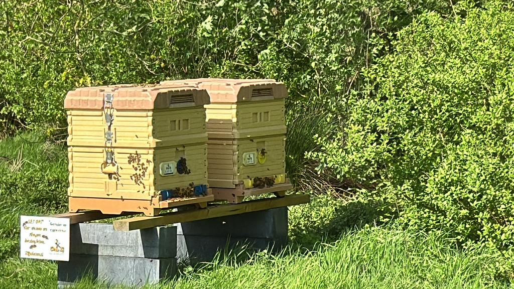 Apimaye langstroth LD23 bijenkasten 10-raams + honingkamers, Dieren en Toebehoren, Insecten en Spinnen, Bijen