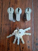 3 gelijksluitende cilindersloten met 6 sleutels, Ophalen of Verzenden, Gebruikt, Slot