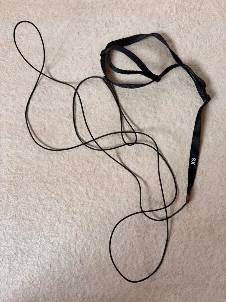 BIRD HARNESS, size XS, Dieren en Toebehoren, Mannelijk, Papegaai