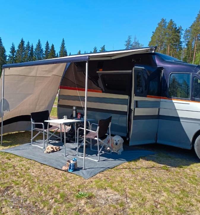 Bijzondere zelfvoorzienende camperbus, klaar voor avontuur!, Caravans en Kamperen, Campers, Particulier, tot en met 2, Buscamper of Camperbus