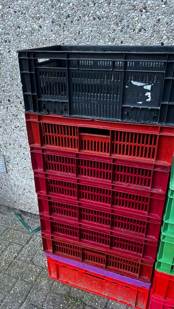 Kratten te koop!, Ophalen, 40 tot 60 cm, 50 tot 75 cm, Minder dan 35 cm