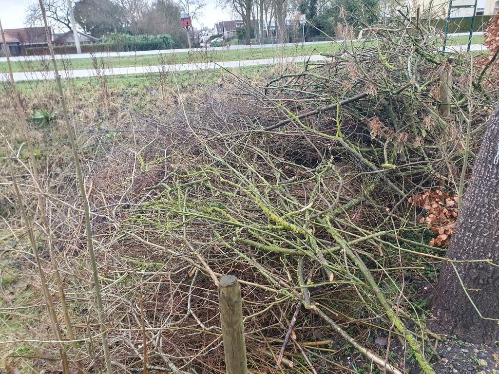 Takken voor brandhout PAASBULT, 6 m³ of meer, Ophalen, Overige houtsoorten, Takken