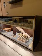 Mooie caviaflat, Ophalen of Verzenden, Zo goed als nieuw, Loopwiel of Rad