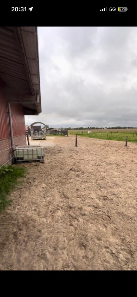 Stalling aangeboden, Stalling, 2 of 3 paarden of pony's