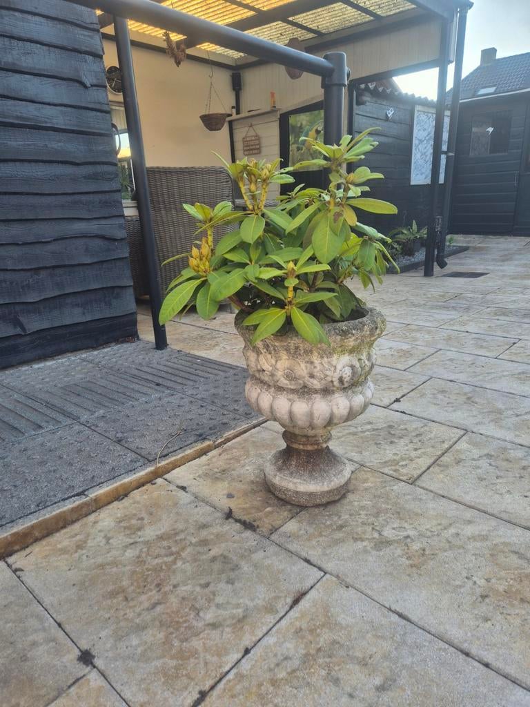 Mooie bloempotten, Tuin en Terras, Bloempotten, Ophalen