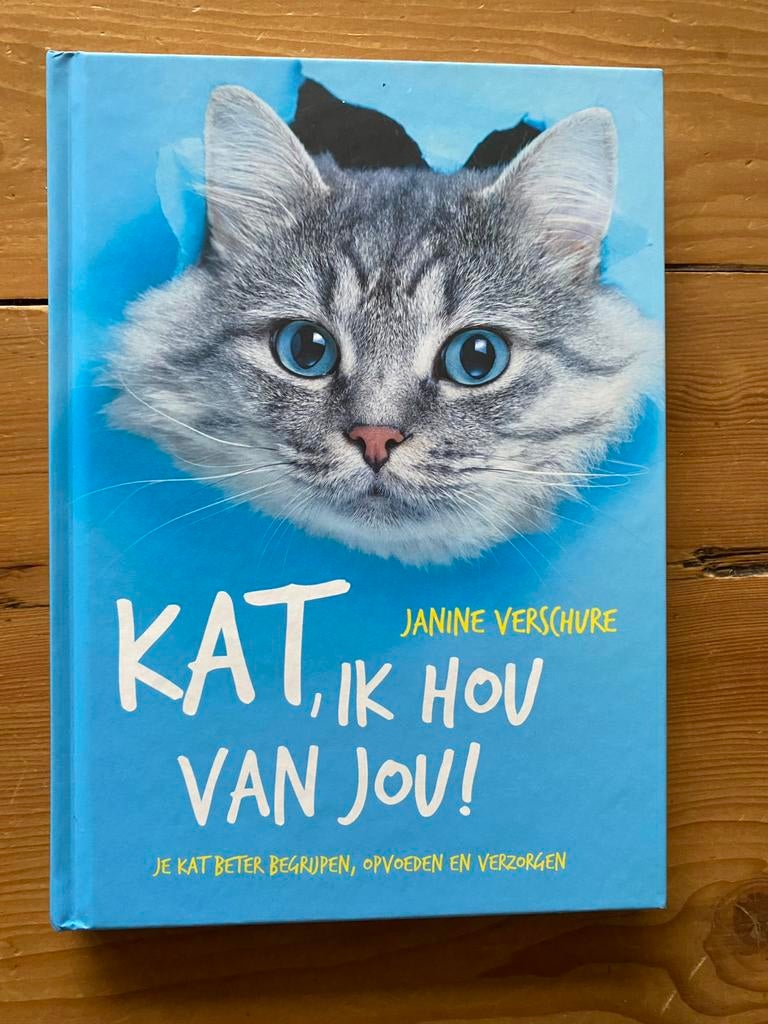 Kat, ik hou van jou - Janine Verschure, Ophalen of Verzenden, Zo goed als nieuw, Katten