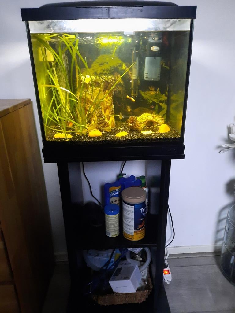 Superfish aquarium 50 op meubel zwart met vissen compleet, Ophalen, Gebruikt, Verlichting of Verwarming