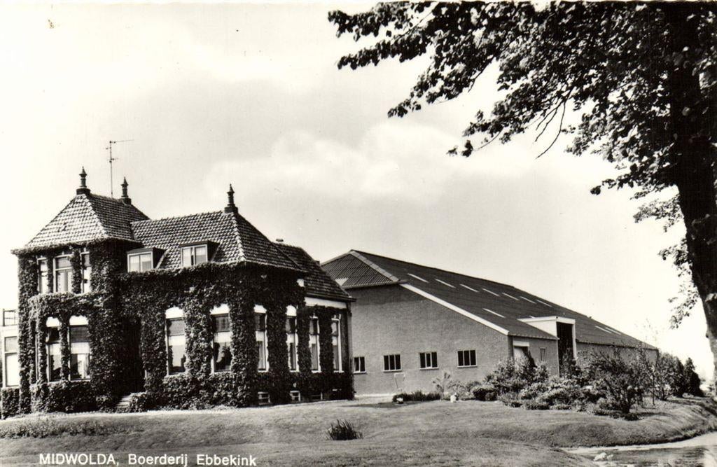 Midwolda, Boerderij Ebbekink - ongelopen, Verzenden, 1960 tot 1980, Ongelopen, Noord-Brabant