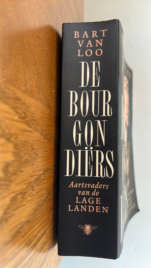 Bart van Loo - De Bourgondiërs, Boeken, Overige Boeken, Zo goed als nieuw, Ophalen of Verzenden