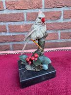 Weens brons: levensecht kardinaalvogeltje, Ophalen of Verzenden, Brons