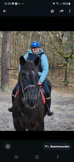 Bijrijdster aangeboden, Ophalen of Verzenden, Nieuw, Overige soorten