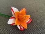 glazen narcis bloem lentebloem handgeblazen glaskunst, Ophalen