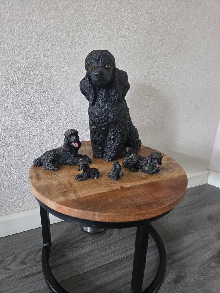 Poedel beelden, Ophalen, Zo goed als nieuw, Overige typen