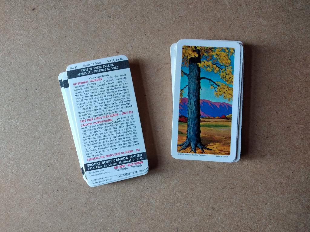 Trees of North America complete set 48 Canadese tea cards, Ophalen, Zo goed als nieuw