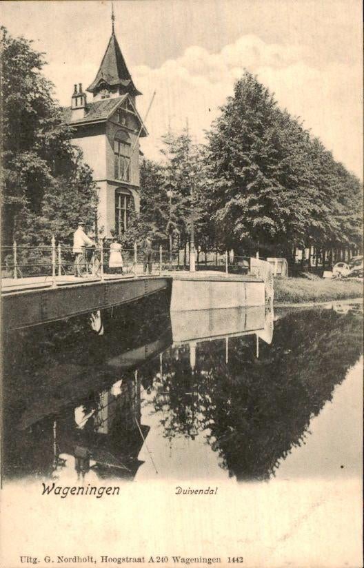 Wageningen - Duivendal, Ophalen of Verzenden, Voor 1920, Ongelopen, Gelderland