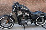 Harley Davidson Nightster - Krachtige en Stijlvolle Cruiser, Motoren, Motoren | Harley-Davidson, 2 cilinders, Chopper, Particulier