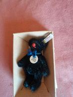 Steiff Club 2000 zwarte beer mini 10 cm, Ophalen of Verzenden, Beer