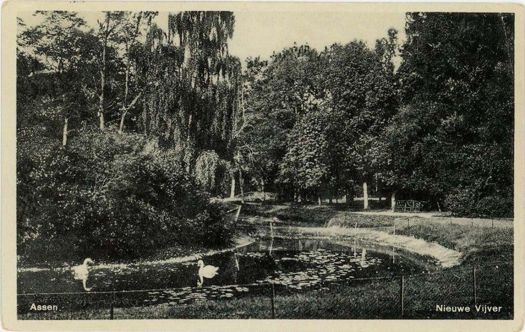 Assen. Nieuwe vijver., Ophalen of Verzenden, Voor 1920, Drenthe