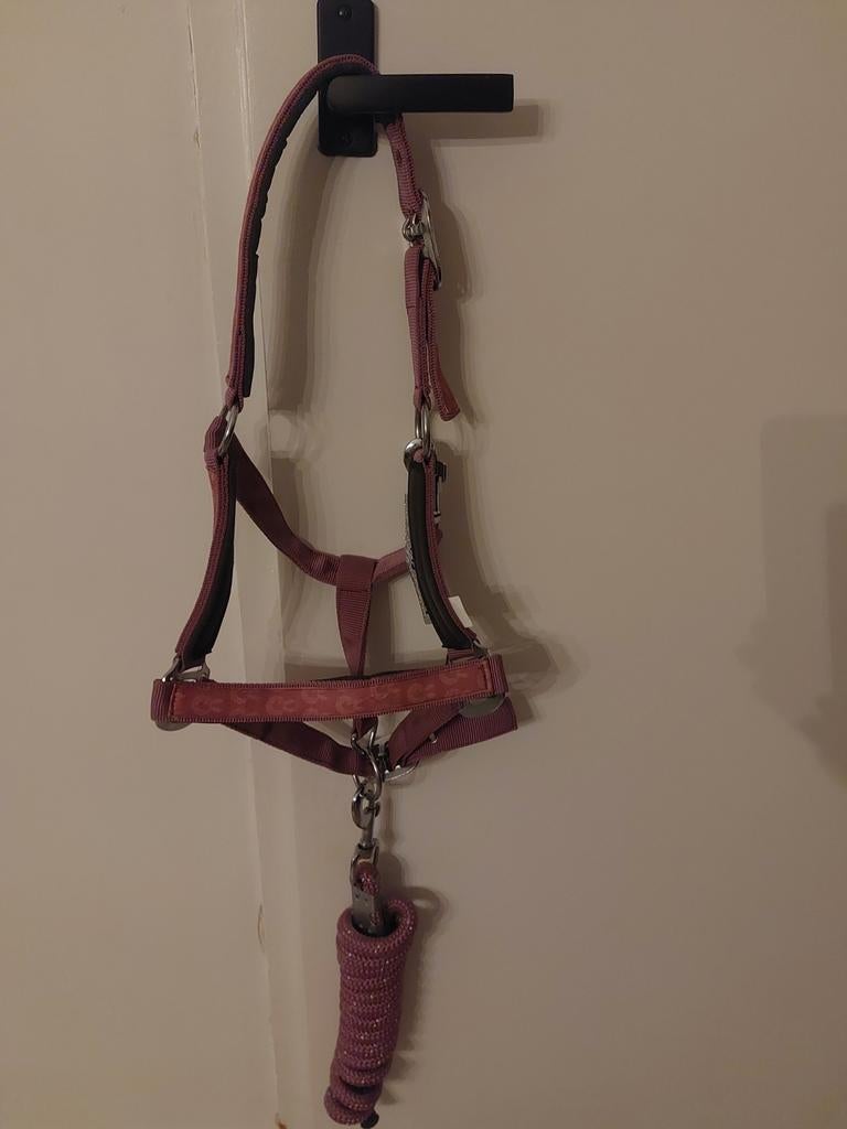 Te koop leuk halster met touw van britt paardenpraat nieuw!, Ophalen of Verzenden, Nieuw, Overige soorten