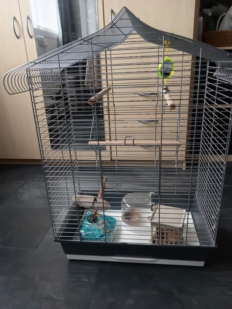 Vogelkooi, Ophalen, Gebruikt, Metaal, Vogelkooi