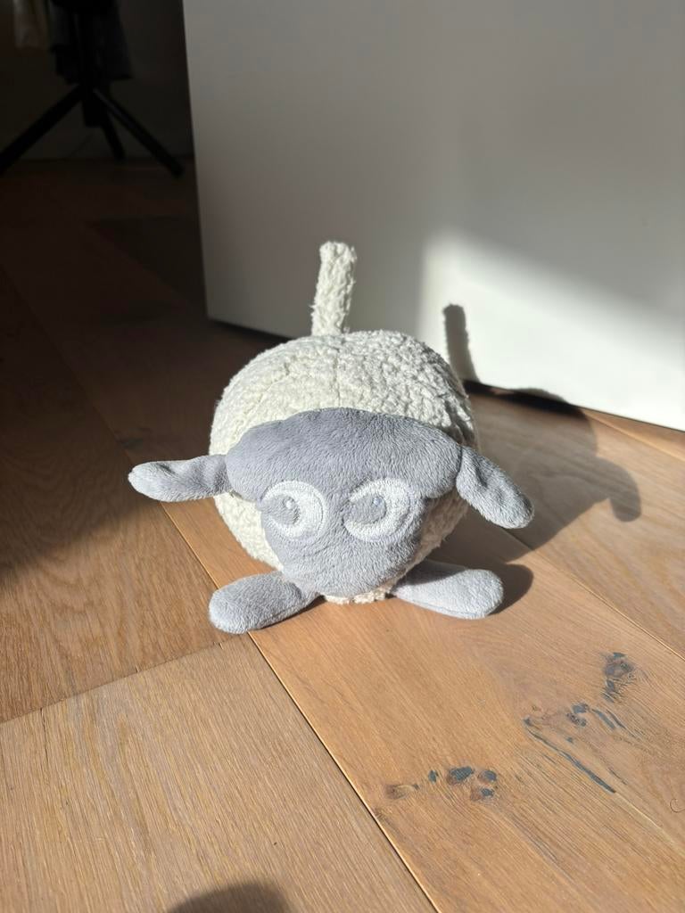 Ewan het droomschaap, Ophalen, Gebruikt, Overige typen