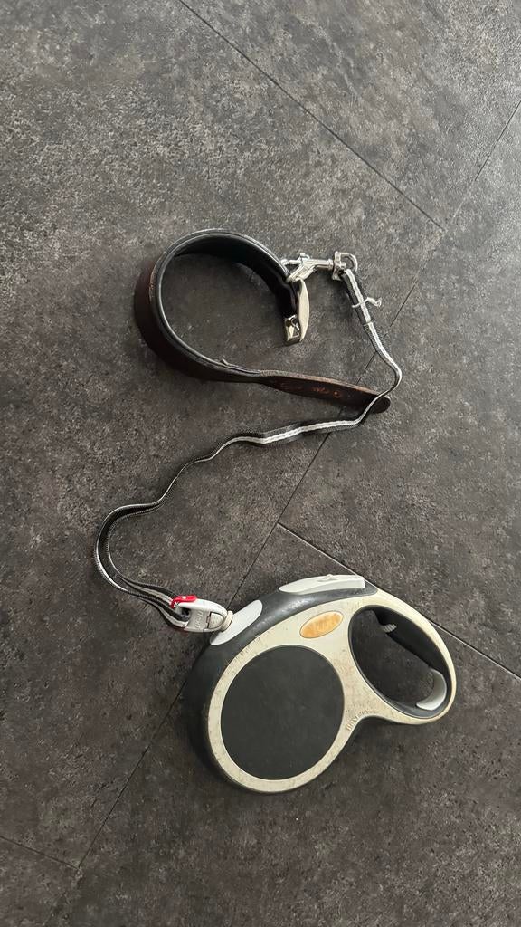 Flexi lijn M met halsband, Dieren en Toebehoren, Ophalen