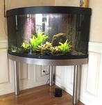 Hoek aquarium Juwel trigon op RVS onderstel, Ophalen, Gebruikt, Leeg aquarium