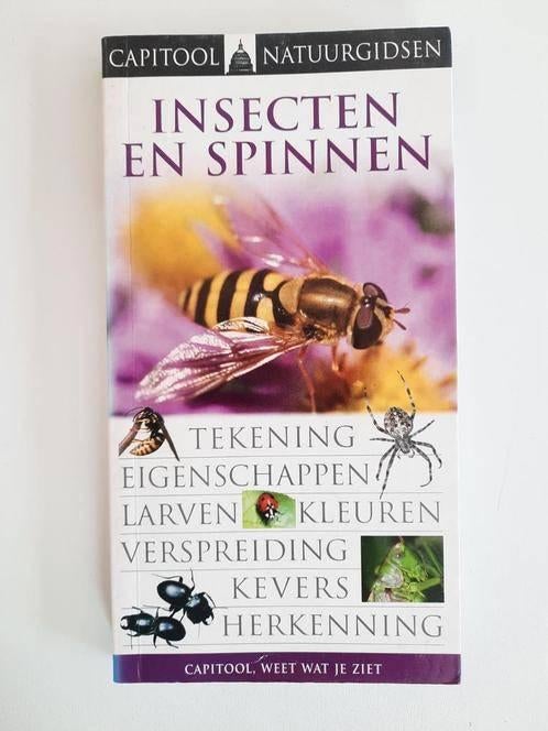 Capitool veldgids Insecten en spinnen . George C. MacGavin, Boeken, Natuur, Ophalen of Verzenden, Gelezen, Natuur algemeen, George C. MacGavin