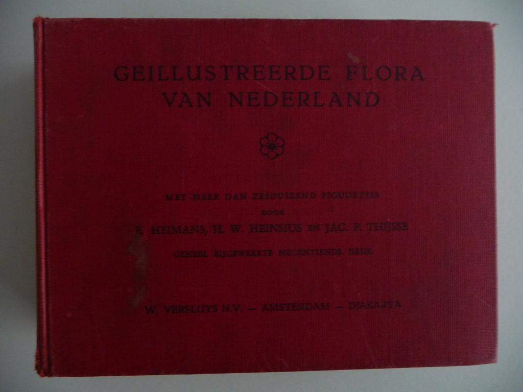 boek GEILLUSTREERDE FLORA VAN NEDERLAND - uitgave 1956, Gelezen, Bloemen, Planten en Bomen, Ophalen of Verzenden, E. HEINSIUS, H.W. THIJSSE