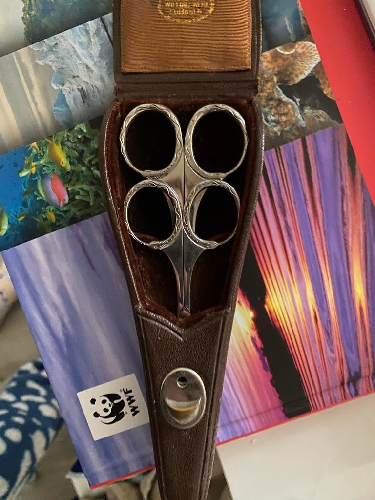 Antieke Schaar Collectie in Leren Etui - ZWILLING J.A. HENCK, Antiek en Kunst, Antiek | Gereedschap en Instrumenten, Ophalen of Verzenden