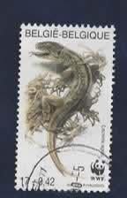 Fauna - Dieren - Hagedis (Zand-) - Belgie - W.W.F. - gebr, Ophalen of Verzenden, Gestempeld, Dier of Natuur