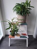 Ikea BEKVÄM krukje, Ophalen, Hout