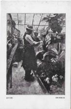 Kever Broeikas Ongelopen Ansichtkaart (B5781 ), Ophalen of Verzenden, 1940 tot 1960, Gelopen