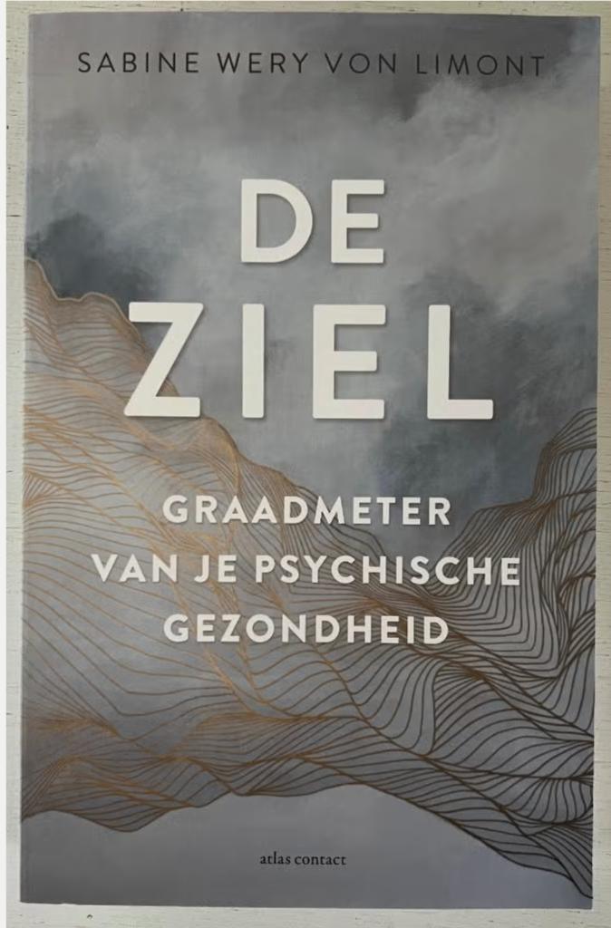 De ziel - Graadmeter van je psychische gezondheid, Boeken, Esoterie en Spiritualiteit, Ophalen of Verzenden, Zo goed als nieuw