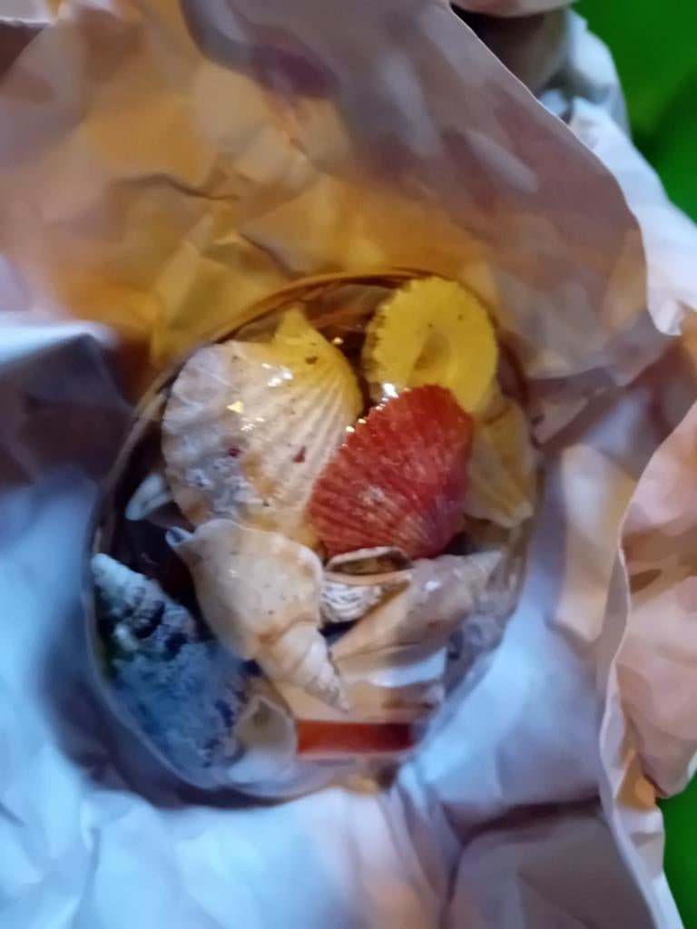 21 mandjes met diverse schelpen, Ophalen of Verzenden