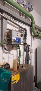 melkstal, Overige soorten, 11 jaar of ouder