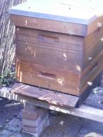 Buckfast bijenvolk in red cedar kast te koop (1), Bijen