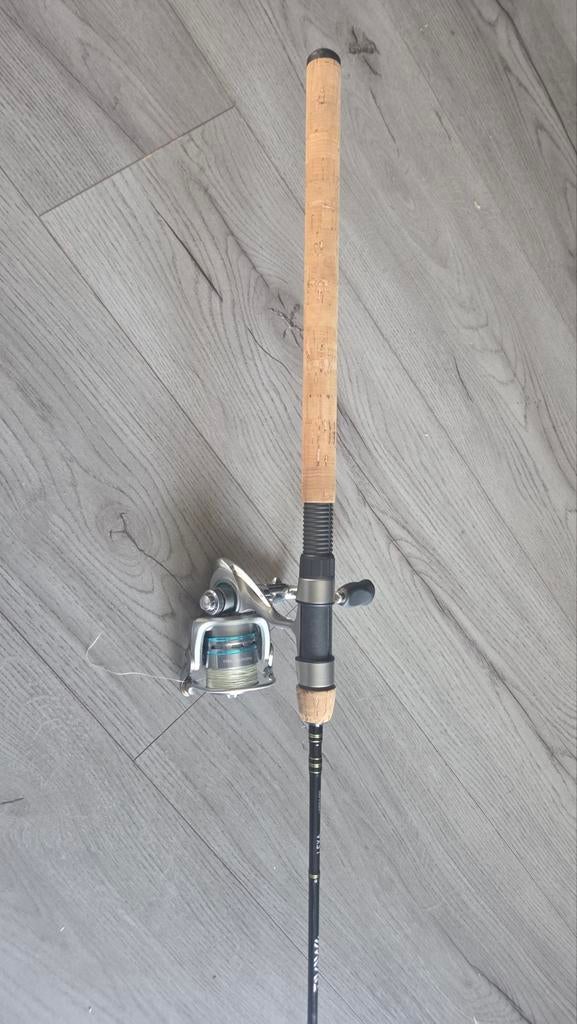 Snoek hengel, Watersport en Boten, Hengelsport | Roofvissen, Ophalen, Werphengel