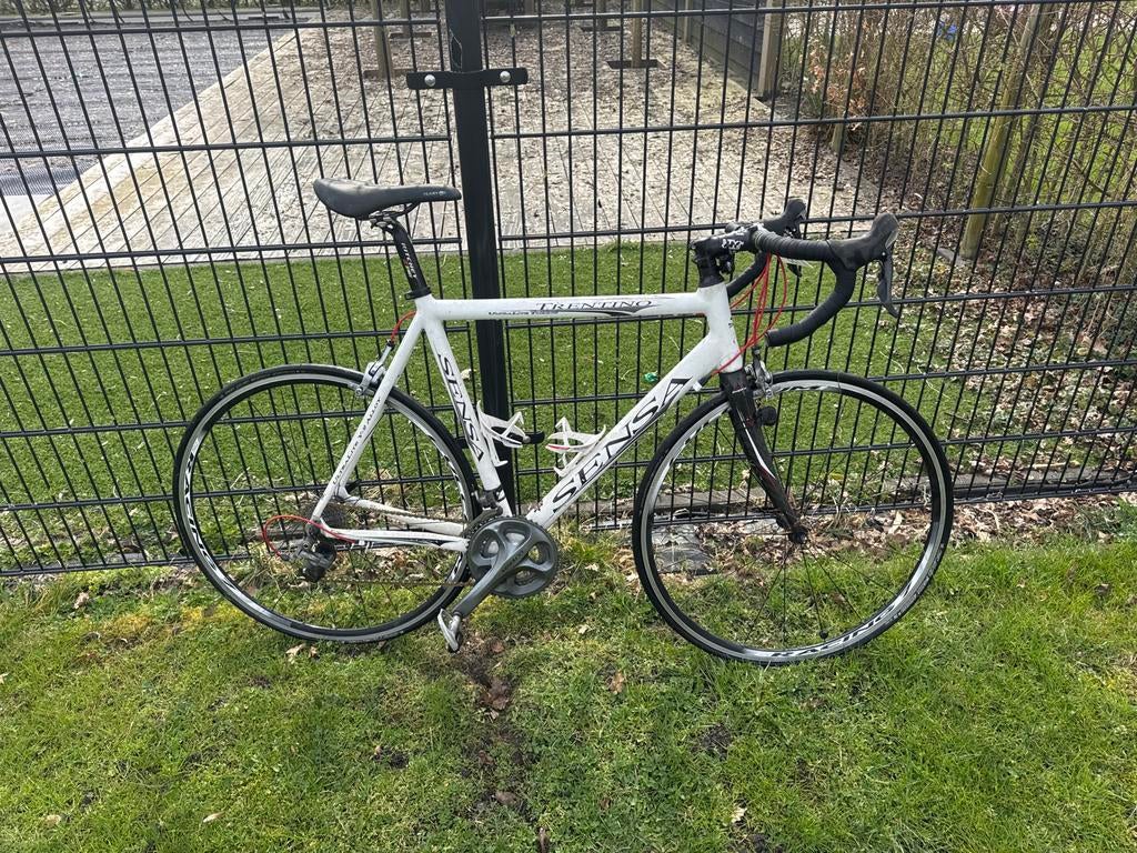 Sensa Trentino racefiets, Overige merken, 28 inch, Gebruikt, Aluminium