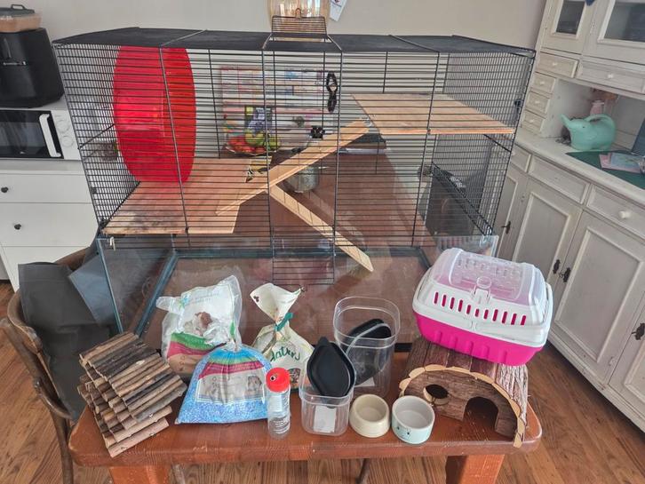 goudhamsterhok, Dieren en Toebehoren, Knaagdieren en Konijnen | Hokken en Kooien, Gebruikt, Hok, Minder dan 60 cm, 75 tot 110 cm