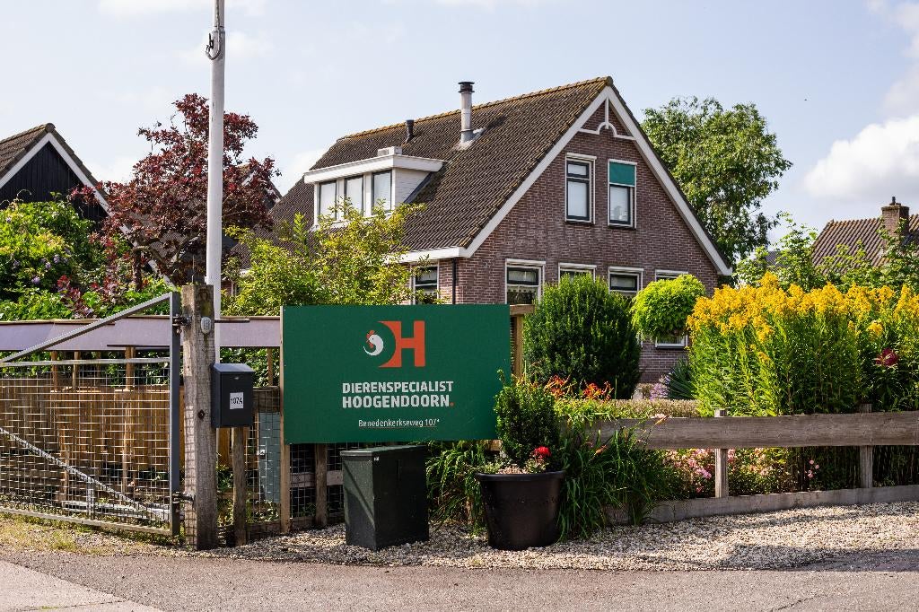 Brahma groot | Tamme grote kippen | Passend advies, Meerdere dieren, Kip